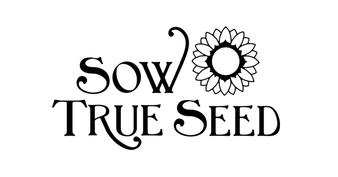 Carrot Seeds - Black Nebula - Sow True Seed