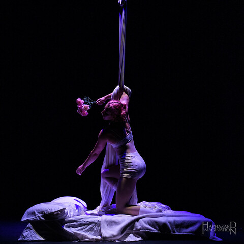 Summer Circus Celebration - aerialist Sam is kneeling beneath their fabric. They are on a bed, with white sheets and pillows, and the aerial fabric is also white. They are wearing white shorts and top. The lighting is dramatic and from above. They have one arm wrapped in the fabric above their head and holding a bunch of roses. They look down towards their other arm and the pillows, as if to lament the absence of another person.