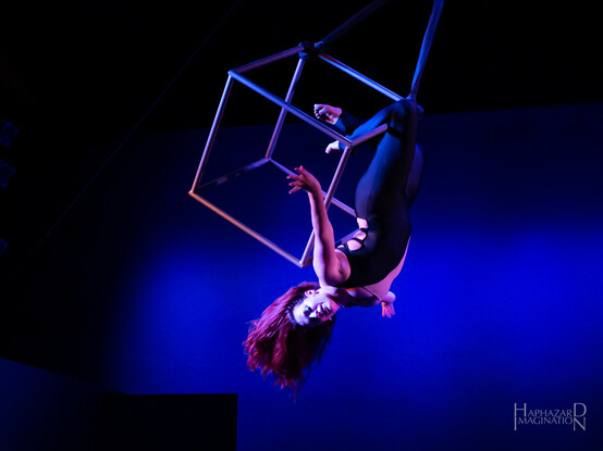 Summer Circus Celebration - aerialist Kirsten performs on aerial cube, a cube outline constructed of steel bars and suspended by two corners. She is upside down, hanging by her knees. Her arms are stretched to her sides and she is looking towards the audience. She is wearing a sleeveless black bodysuit.
