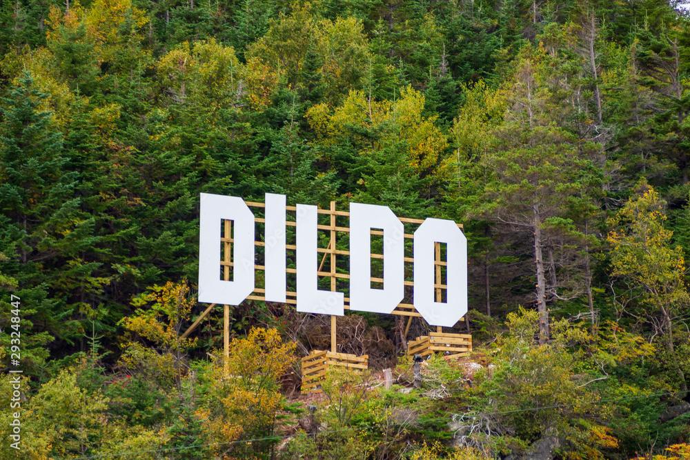 Big sign on a hillside in Dildo, Newfoundland and Labrador, Canada. It consists of individual letters mounted on a wooden lattice backing, and says "Dildo" in the same style as the Hollywood sign in California. It is surrounded by pine trees.
